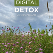 Digital Detox Upstate Retreat