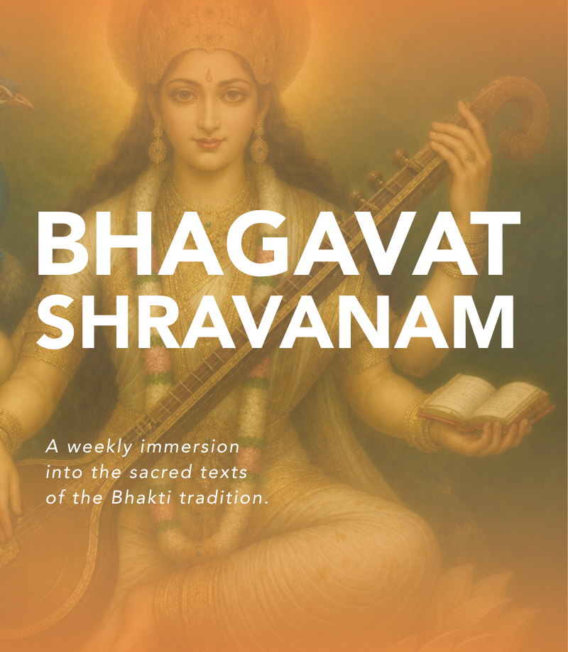 TEMPLATE-3